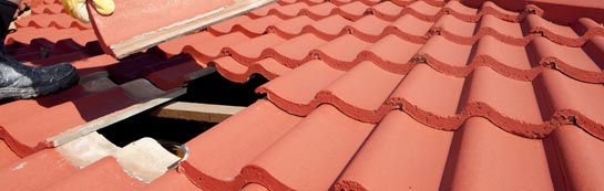 compare Chestnut Hill roof repair quotes